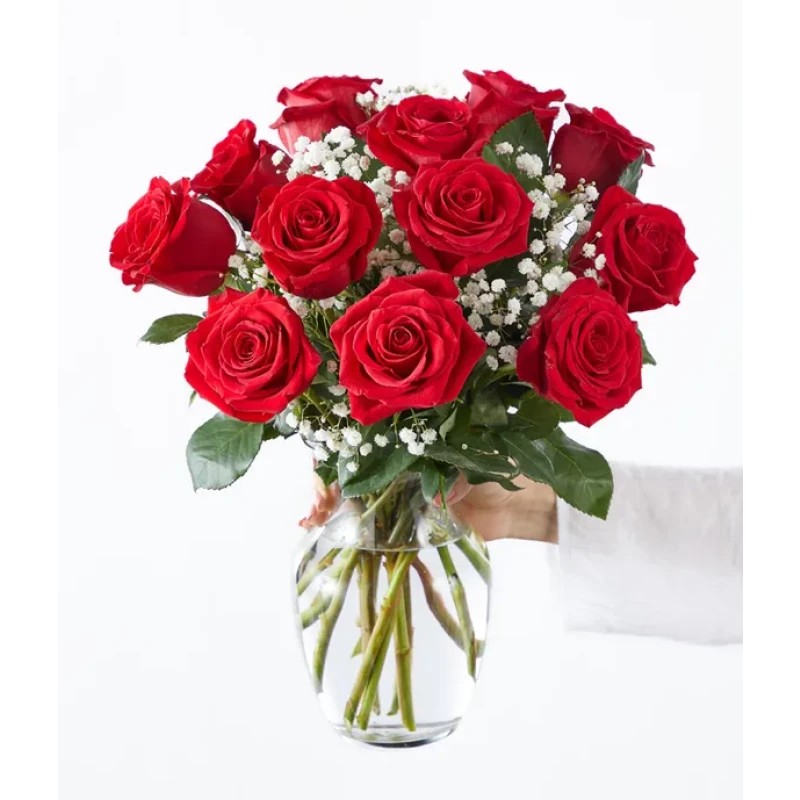One Dozen Long Stemmed Red Roses