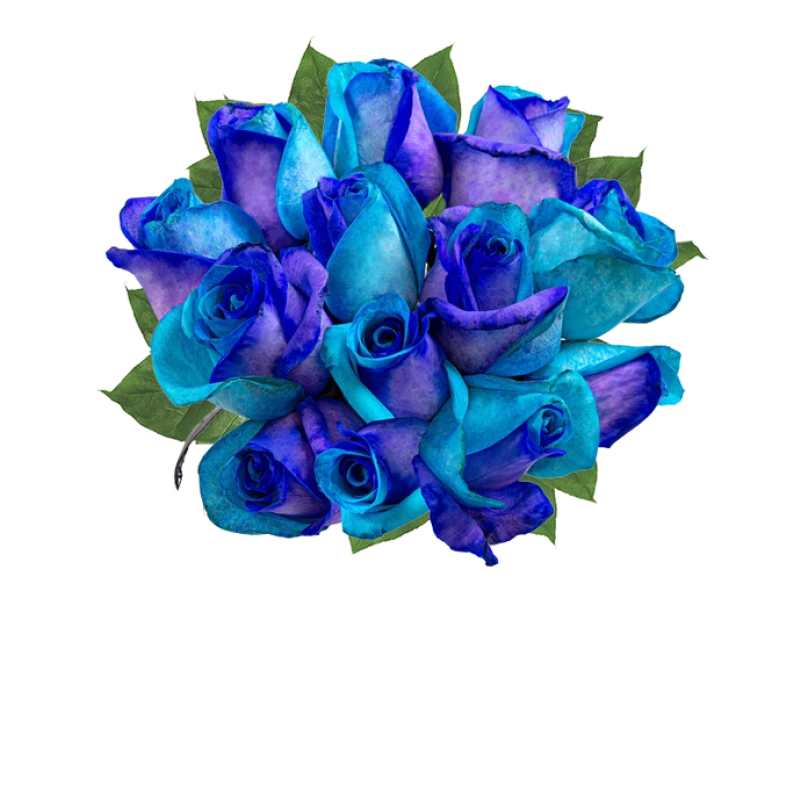 One Dozen Ocean Blue Roses
