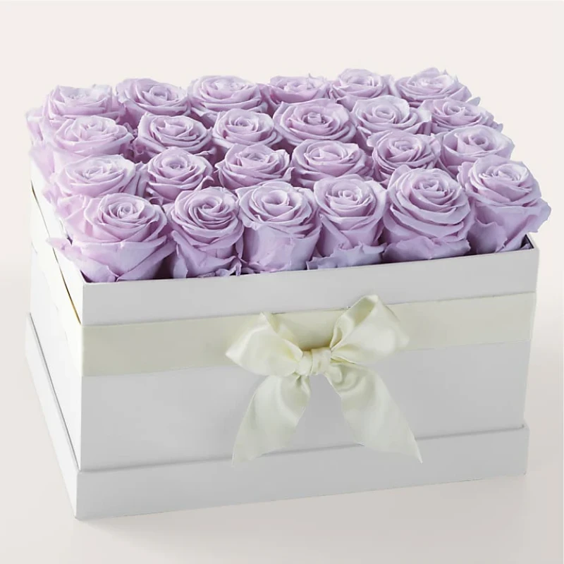 Lavender Forever Rose