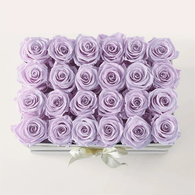 Lavender Forever Rose