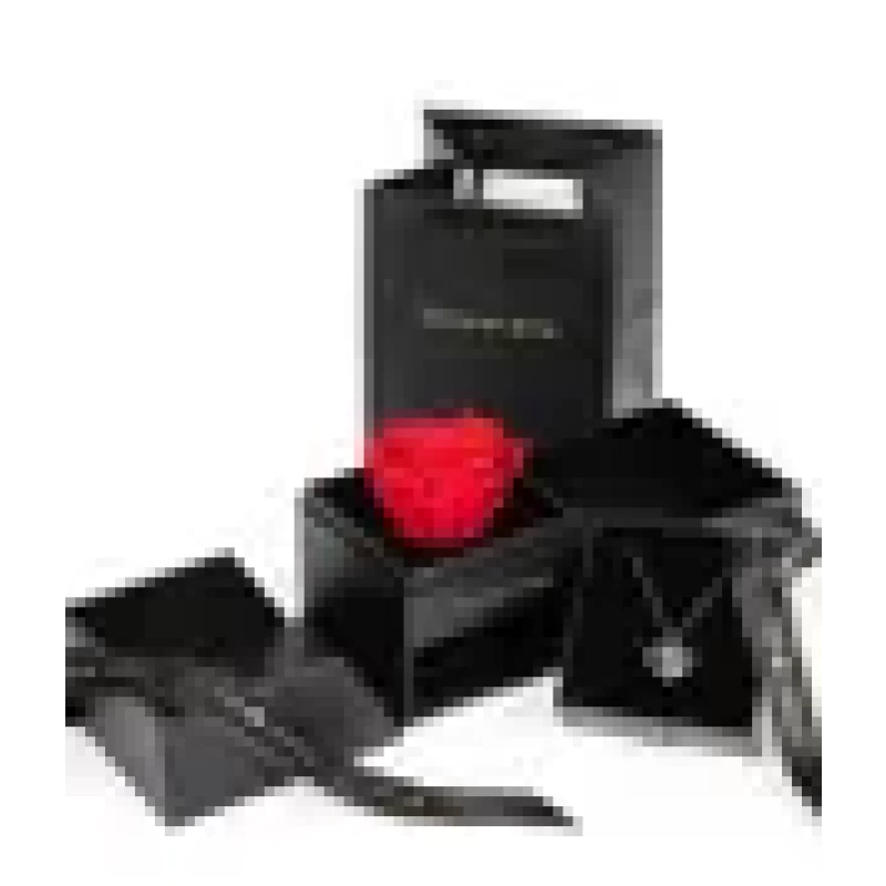 Forever Rose & Necklace Gift Set