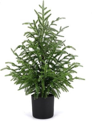 ENVEN 2FT Artificial Norfolk Pine Christmas Tree – Tabletop Faux Tree Unlit/Prelit with 50 LED Lights & 8-Function Battery Box, Pre-Assembled Holiday Decor for Home or Office (Prelit-2FT-2Pack)