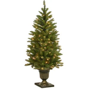 4 ft. Pre-Lit Dunhill Fir Entrance Tree with Clear Lights, Plug-In