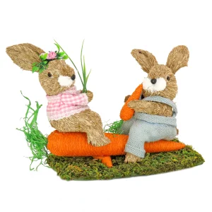 14 in. Two Bunnies on Carrot Seesaw Table Decoration