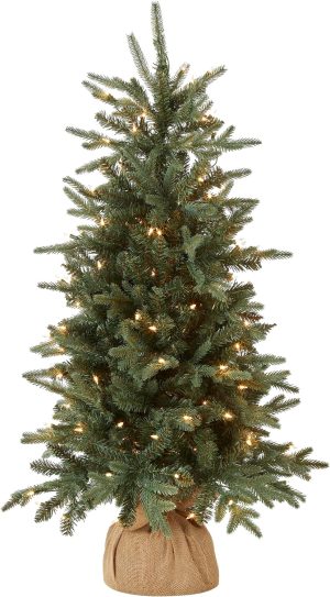 National Tree Company 4 ft Pre-Lit Everyday Collection Mini Artificial Christmas Tree, 150 Clear Lights, 643 Tips, Burlap Base, Green