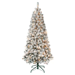 6 ft. Pre-Lit Acacia Slim Tree with Clear Lights, Plug-In
